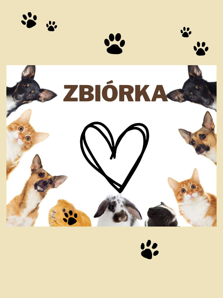 Zbiórka do schroniska