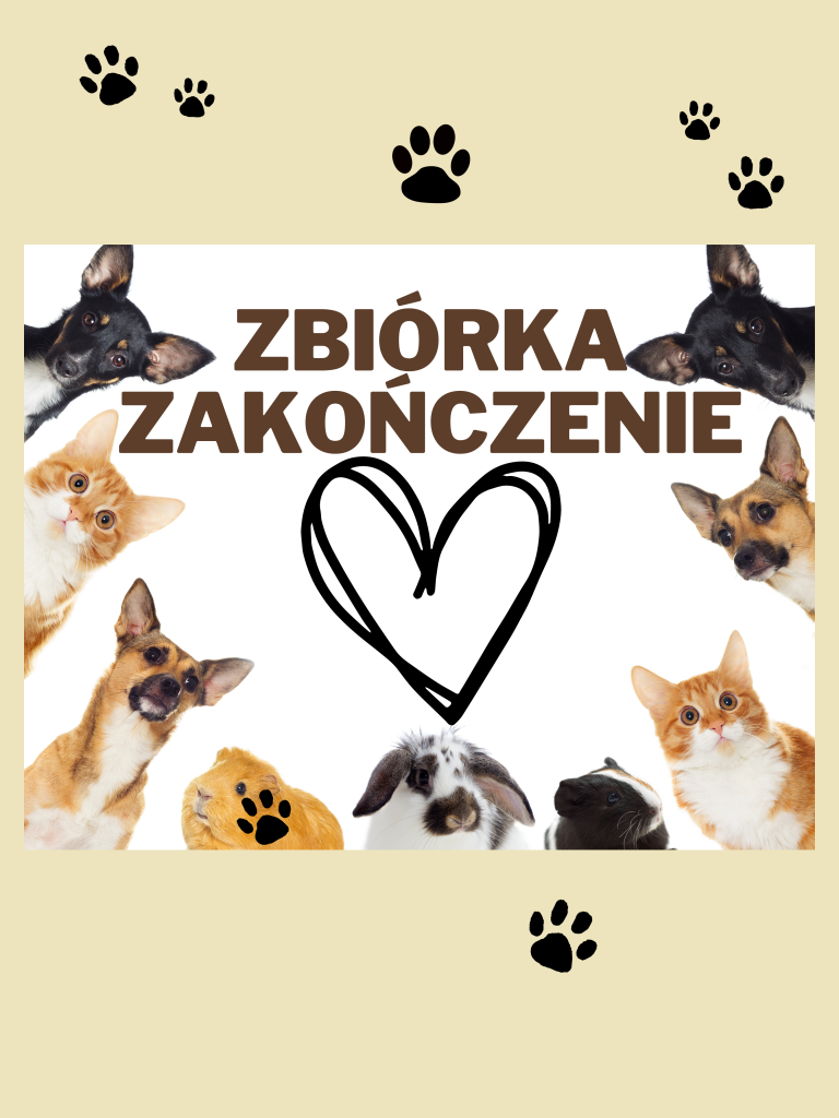 Zbiórka – zakończenie