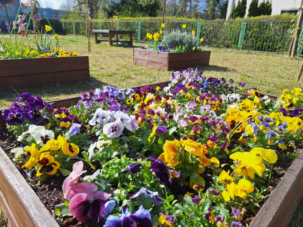 Wiosenne nasadzenia w naszym ogródku🌱