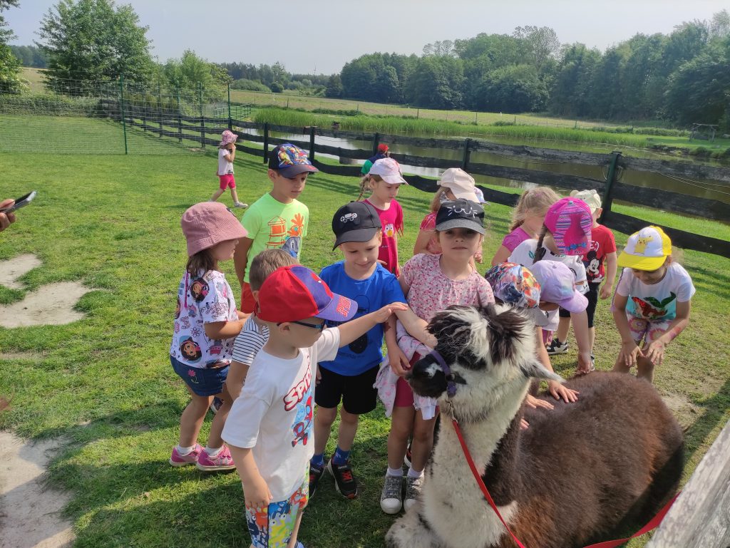 WYCIECZKA DO MINI ZOO ” SOŁTYSÓWKA”  🐐🐇🦃🐓🦘🦚🦜